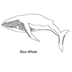 Dessin à colorier: Baleine (Animaux) #963 - Coloriages à Imprimer Gratuits