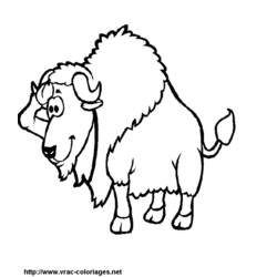 Dessin à colorier: Bison (Animaux) #1203 - Coloriages à Imprimer Gratuits