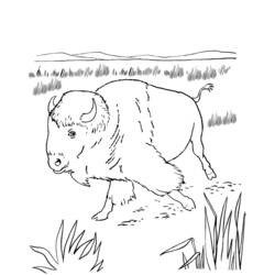 Dessin à colorier: Bison (Animaux) #1226 - Coloriages à Imprimer Gratuits