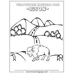 Dessin à colorier: Bison (Animaux) #1239 - Coloriages à Imprimer Gratuits