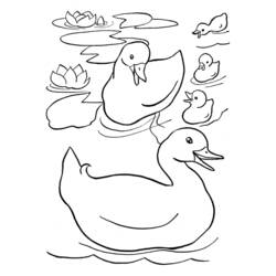 Dessin à colorier: Canard (Animaux) #1494 - Coloriages à Imprimer Gratuits