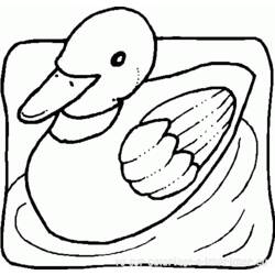 Dessin à colorier: Canard (Animaux) #1508 - Coloriages à Imprimer Gratuits