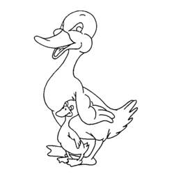 Dessin à colorier: Canard (Animaux) #1510 - Coloriages à Imprimer Gratuits