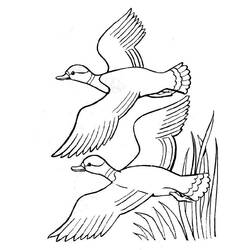 Dessin à colorier: Canard (Animaux) #1511 - Coloriages à Imprimer Gratuits
