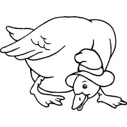 Dessin à colorier: Canard (Animaux) #1539 - Coloriages à Imprimer Gratuits