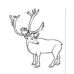 Dessin à colorier: Caribou (Animaux) #1541 - Coloriages à Imprimer Gratuits
