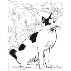Dessin à colorier: Chat (Animaux) #1846 - Coloriages à Imprimer Gratuits