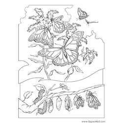 Dessin à colorier: Chenille (Animaux) #18327 - Coloriages à Imprimer Gratuits