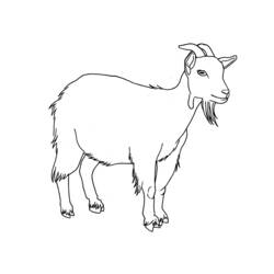 Dessin à colorier: Chèvre (Animaux) #2406 - Coloriages à Imprimer Gratuits