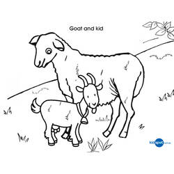Dessin à colorier: Chèvre (Animaux) #2437 - Coloriages à Imprimer Gratuits