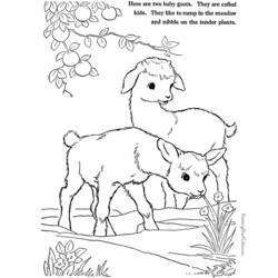Dessin à colorier: Chèvre (Animaux) #2520 - Coloriages à Imprimer Gratuits