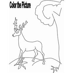 Dessin à colorier: Chevreuil (Animaux) #2725 - Coloriages à Imprimer Gratuits