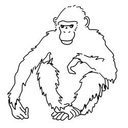 Dessin à colorier: Chimpanzé (Animaux) #2779 - Coloriages à Imprimer Gratuits