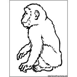 Dessin à colorier: Chimpanzé (Animaux) #2794 - Coloriages à Imprimer Gratuits