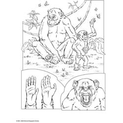Dessin à colorier: Chimpanzé (Animaux) #2832 - Coloriages à Imprimer Gratuits