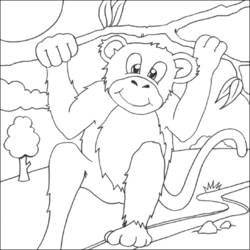 Dessin à colorier: Chimpanzé (Animaux) #2866 - Coloriages à Imprimer Gratuits