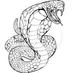 Dessin à colorier: Cobra (Animaux) #3220 - Coloriages à Imprimer Gratuits