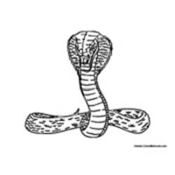 Dessin à colorier: Cobra (Animaux) #3225 - Coloriages à Imprimer Gratuits