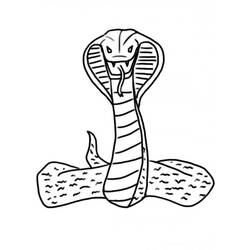 Dessin à colorier: Cobra (Animaux) #3228 - Coloriages à Imprimer Gratuits