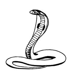 Dessin à colorier: Cobra (Animaux) #3296 - Coloriages à Imprimer Gratuits