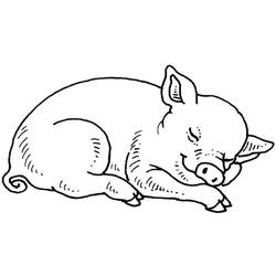 Dessin à colorier: Cochon (Animaux) #3590 - Coloriages à Imprimer Gratuits
