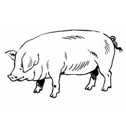 Dessin à colorier: Cochon (Animaux) #3596 - Coloriages à Imprimer Gratuits