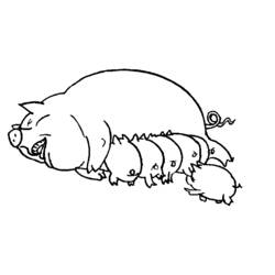 Dessin à colorier: Cochon (Animaux) #3599 - Coloriages à Imprimer Gratuits