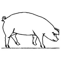 Dessin à colorier: Cochon (Animaux) #3643 - Coloriages à Imprimer Gratuits