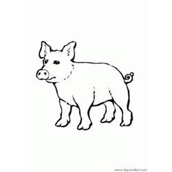 Dessin à colorier: Cochon (Animaux) #3765 - Coloriages à Imprimer Gratuits