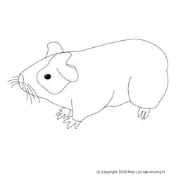 Dessin à colorier: Cochon dinde (Animaux) #18495 - Coloriages à Imprimer Gratuits