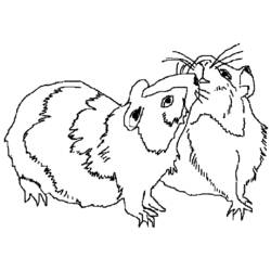 Dessin à colorier: Cochon dinde (Animaux) #18500 - Coloriages à Imprimer Gratuits