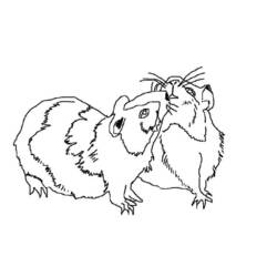 Dessin à colorier: Cochon dinde (Animaux) #18547 - Coloriages à Imprimer Gratuits