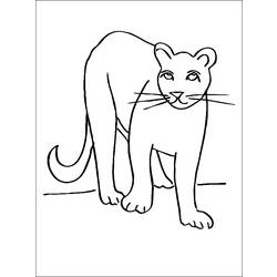 Dessin à colorier: Cougar (Animaux) #4384 - Coloriages à Imprimer Gratuits
