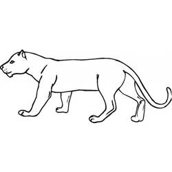 Dessin à colorier: Cougar (Animaux) #4404 - Coloriages à Imprimer Gratuits