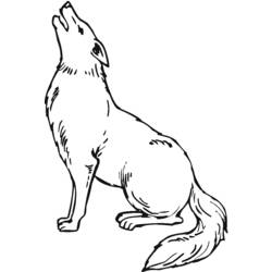 Dessin à colorier: Coyote (Animaux) #4492 - Coloriages à Imprimer Gratuits