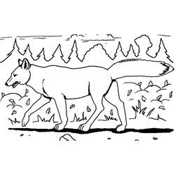 Dessin à colorier: Coyote (Animaux) #4498 - Coloriages à Imprimer Gratuits