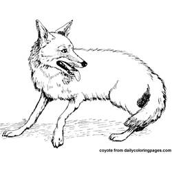 Dessin à colorier: Coyote (Animaux) #4526 - Coloriages à Imprimer Gratuits