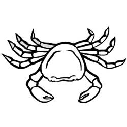 Dessin à colorier: Crabe (Animaux) #4579 - Coloriages à Imprimer Gratuits