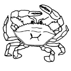 Dessin à colorier: Crabe (Animaux) #4611 - Coloriages à Imprimer Gratuits