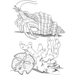 Dessin à colorier: Crabe (Animaux) #4616 - Coloriages à Imprimer Gratuits