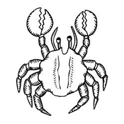 Dessin à colorier: Crabe (Animaux) #4624 - Coloriages à Imprimer Gratuits