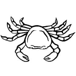 Dessin à colorier: Crabe (Animaux) #4639 - Coloriages à Imprimer Gratuits