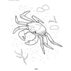 Dessin à colorier: Crabe (Animaux) #4659 - Coloriages à Imprimer Gratuits