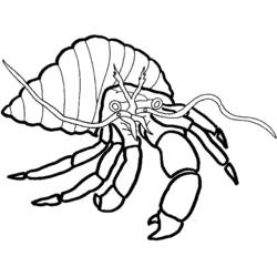 Dessin à colorier: Crabe (Animaux) #4673 - Coloriages à Imprimer Gratuits