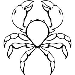 Dessin à colorier: Crabe (Animaux) #4754 - Coloriages à Imprimer Gratuits