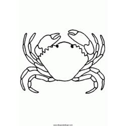 Dessin à colorier: Crabe (Animaux) #4759 - Coloriages à Imprimer Gratuits