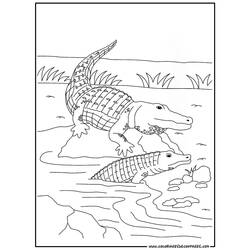 Dessin à colorier: Crocodile (Animaux) #4794 - Coloriages à Imprimer Gratuits
