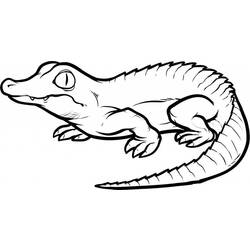 Dessin à colorier: Crocodile (Animaux) #4812 - Coloriages à Imprimer Gratuits