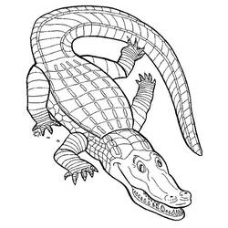 Dessin à colorier: Crocodile (Animaux) #4817 - Coloriages à Imprimer Gratuits