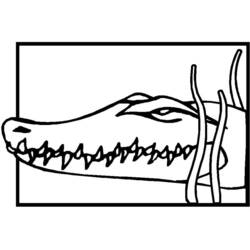 Dessin à colorier: Crocodile (Animaux) #4874 - Coloriages à Imprimer Gratuits
